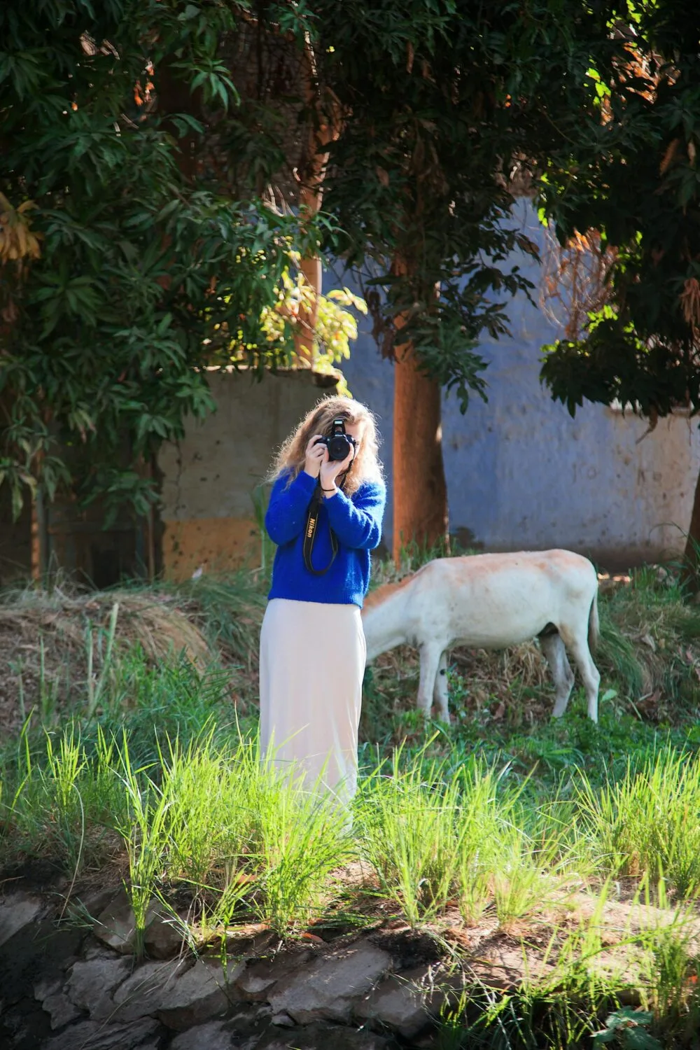 A woman captures outdoor photography amidst vibrant greenery and a goat grazing peacefully.
